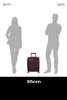 American Tourister carrello Soundbox Spinner 55 / 20 TSA Anteprima dell’immagine prodotto 12