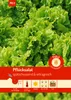 Artikelbild 1 von 'Pflücksalat Australische Gele' aus der Kategorie Pflücksalatsamen Produktbild-Vorschau