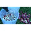 A bucket filled with chopped apples and a mixing tool, with whole apples scattered on the grass next to it. Produktbild-Vorschau