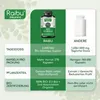 Moringa 270 Kapseln, aus Moringa Oleifera Blattpulver - Produktbild-Vorschau 3