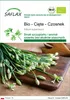 SAFLAX - Bio - Cięte - Czosnek - 100 Nasiona - Allium Podgląd zdjęcia produktu 1