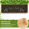 Diagram showing water drainage and air circulation in a planter box, with text describing its features. Anteprima dell’immagine prodotto