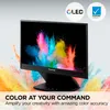Viewsonic VP16-OLED Viewsonic 39,6cm VP16-OLED 16:9 Podgląd zdjęcia produktu 19
