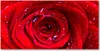Tulup® Glas-Bild - 100x50 -Wandkunst - Wandbild hinter Produktbild-Vorschau 1