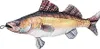 Fladen Stofftier Zander Länge 70 cm Fischkissen Produktbild-Vorschau 2
