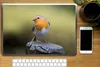 MuchoWow® Laptop Aufkleber Sticker Cover Pfahl - Produktbild-Vorschau 2