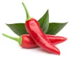 EMSA Click & Grow, Chili paprika Productafbeelding-voorbeeld 17