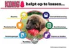 A puppy is shown with various icons and text around it, illustrating the benefits of a KONG toy. Anteprima dell’immagine prodotto