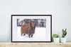 MuchoWow® Gerahmtes Poster Widder - Braun - Schnee 60x40 cm Produktbild-Vorschau 4