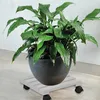 KESPER 69105 Pflanzenroller ausem Pappelholz, grau, 30 x 30 Produktbild-Vorschau 4