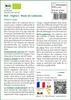 SAFLAX  -- Oignon - Blanc de Lisbonne - 150 graines - Voir les images du produit 3