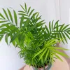 Bloomique - 2er-Set - Dypsis & Chamaedorea - Palme - Produktbild-Vorschau 4