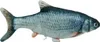 Hračka pre mačky Magic Fish s mačacou mätou, krúti sa ako Náhľad obrázku produktu 26