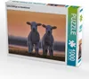 CALVENDO Puzzle Lamm-Zwillinge vor Abendhimmel | 1000 Teile Produktbild-Vorschau 2