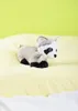 Warmies Waschbär, 1 St. Wärmekissen Produktbild-Vorschau 3