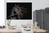 MuchoWow® Poster Pferd - Halfter - Mähne 180x120 cm - Produktbild-Vorschau 3