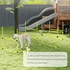 PawHut Agility – sada překážek a slalomových tyčí pro Náhled obrázku produktu 7