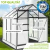 BRAST Gewächshaus Aluminium mit Fundament | 190x190x195cm | Produktbild-Vorschau 3