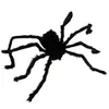 Halloween Riesiges Baby Olbrigm Spinne Anteprima dell’immagine prodotto 2