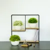 Künstliche Pflanzen im Topf 3er Set Wohnzimmer Deko modern Produktbild-Vorschau 5
