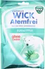 WICK Atemfrei zuckerfreie Halsbonbons mit Eukalyptus und Produktbild-Vorschau 4