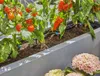 Gardena Micro-Drip-System Set Terrace (30 piante) Anteprima dell’immagine prodotto 14