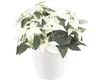 elho brussels Diamond Rund 30cm Übertopf - weiss Produktbild-Vorschau 8