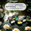 Several plastic duck decoys are floating in a pond with water lilies. Produktbild-Vorschau