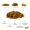 UGF Insektenmischung 500g (3L) Igelfutter, Rennmausfutter, Produktbild-Vorschau 6