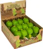 Dino klakson na kolo Zvonek na kolo Klakson na řídítka Náhled obrázku produktu 7