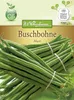Buschbohne Maxi Gluckentyp | Buschbohnensamen von N.L. Produktbild-Vorschau 1