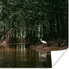 MuchoWow® Poster Reiher - Wald - See 100x100 cm - Produktbild-Vorschau 1