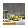 Several glasses of alcoholic beverages and water are arranged on a table. Anteprima dell’immagine prodotto