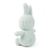 Miffy Terry Kuscheltier 23 cm Soft Green Produktbild-Vorschau 4