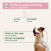 Aniforte LiverVetal Polvere - 100 grammi Anteprima dell’immagine prodotto 4