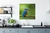 MuchoWow® Poster Eisvogel - Zweig - Moos - Vogel - Grün Produktbild-Vorschau 3
