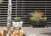 Prosperplast Gracia Square Blumentopf mit abnehmbaren Produktbild-Vorschau 3