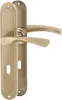 A pair of bronze door handles with backplates, presented against a white background. Produktbild-Vorschau