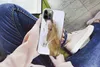 MuchoWow® Handyhülle Schutzhülle Hülle für iPhone 13 Pro Produktbild-Vorschau 3