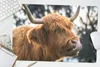 MuchoWow® Schreibtischunterlage Schottischer Highlander - Produktbild-Vorschau 5