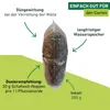 Schafwoll-Noppen als Dünger, 200g Produktbild-Vorschau 3