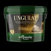 A dark green bucket of St. Hippolyt Ungulat Hufkur, a horse supplement, against a black background. Produktbild-Vorschau