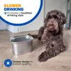 Vulpes Goods Ecuelle d'eau pour chiens, 3L anti-fuite Voir les images du produit 12