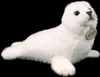 RAPPA Guarnizione di peluche 30 cm ECO-FRIENDLY Anteprima dell’immagine prodotto 9