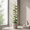 KADAX Bamboe stokken, 75 cm x 10/12 mm, set van 50, Productafbeelding-voorbeeld 7