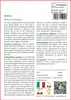 SAFLAX  - Arnica  - 40 semi - Con substrato - Arnica Anteprima dell’immagine prodotto 3