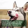AniForte Seealgenmehl für Hunde 250g – Natürlicher Barf Produktbild-Vorschau 5