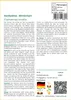 SAFLAX - Hanfpalme - 10 Samen - Chamaerops excelsa Produktbild-Vorschau 3