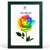 MG Design Bilderrahmen 24 x 30 cm - Fotorahmen mit Grün Produktbild-Vorschau 1