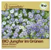 Samenliebe  Jungfer im Grünen Samen | Blaue Blüten - blau - Produktbild-Vorschau 1